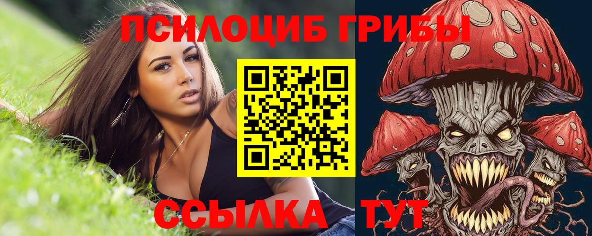 Кисловодск  Галлюциногенные грибы мицелий  Вход с VPN 